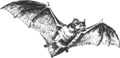 3f2b090990a8565a5aecbcf9261f2f90da67ad08