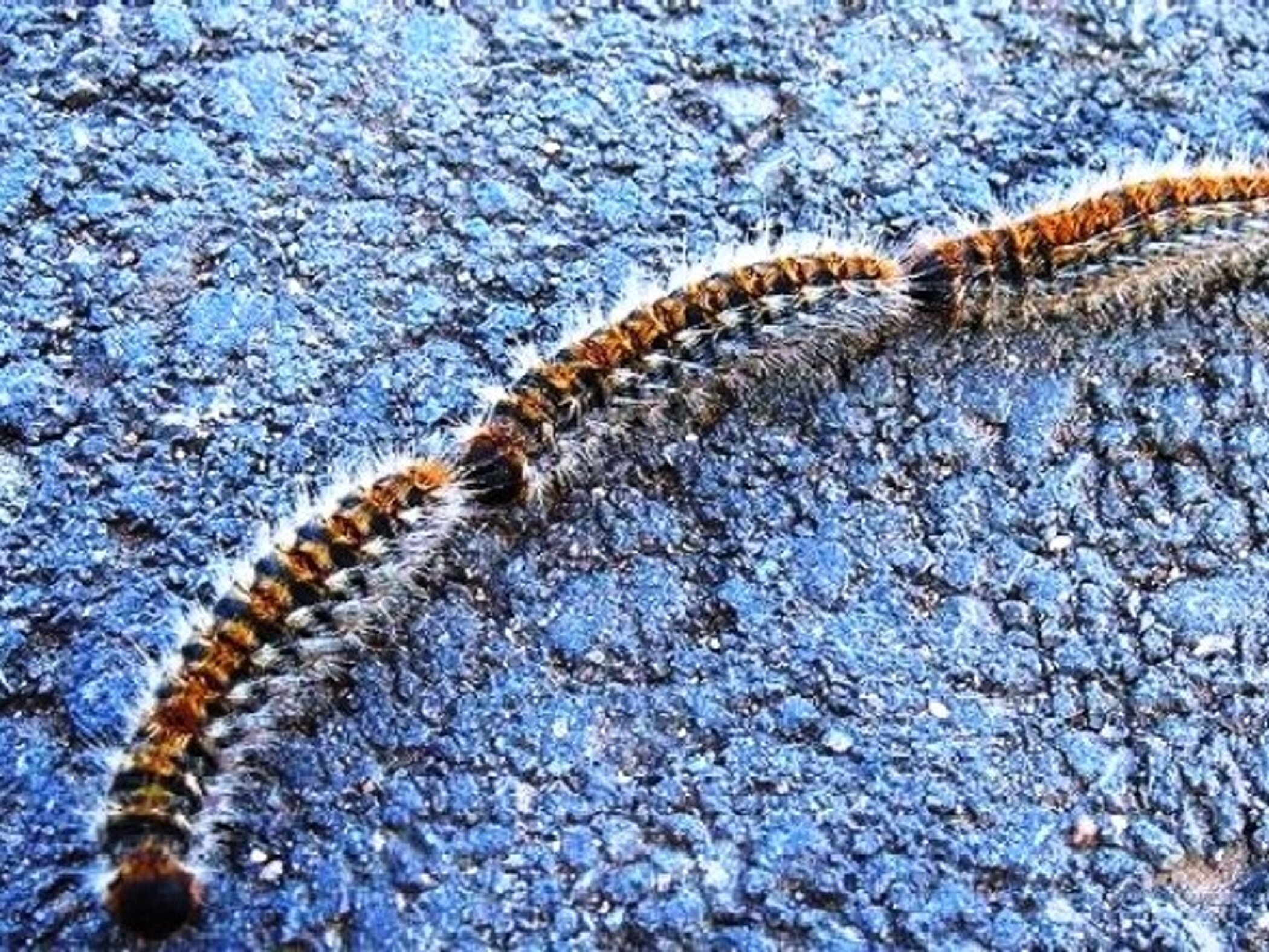 41dcde6ec4ff15ee49f9f124cb2f1c6766ad0724 41dcde6ec4ff15ee49f9f124cb2f1c6766ad0724