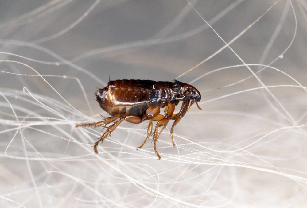 447cbe559be89d6a316caa8c69e6ae26ac4c8259 447cbe559be89d6a316caa8c69e6ae26ac4c8259