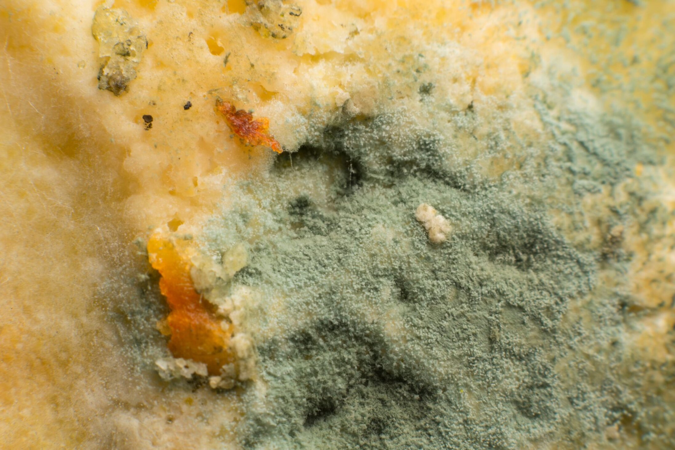 52b93b7768da7b9849c6d15d2d3c9fb2676bae28 52b93b7768da7b9849c6d15d2d3c9fb2676bae28