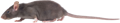 5337a79027acdd1b144d0e0f5809a807f11a0c9c 5337a79027acdd1b144d0e0f5809a807f11a0c9c