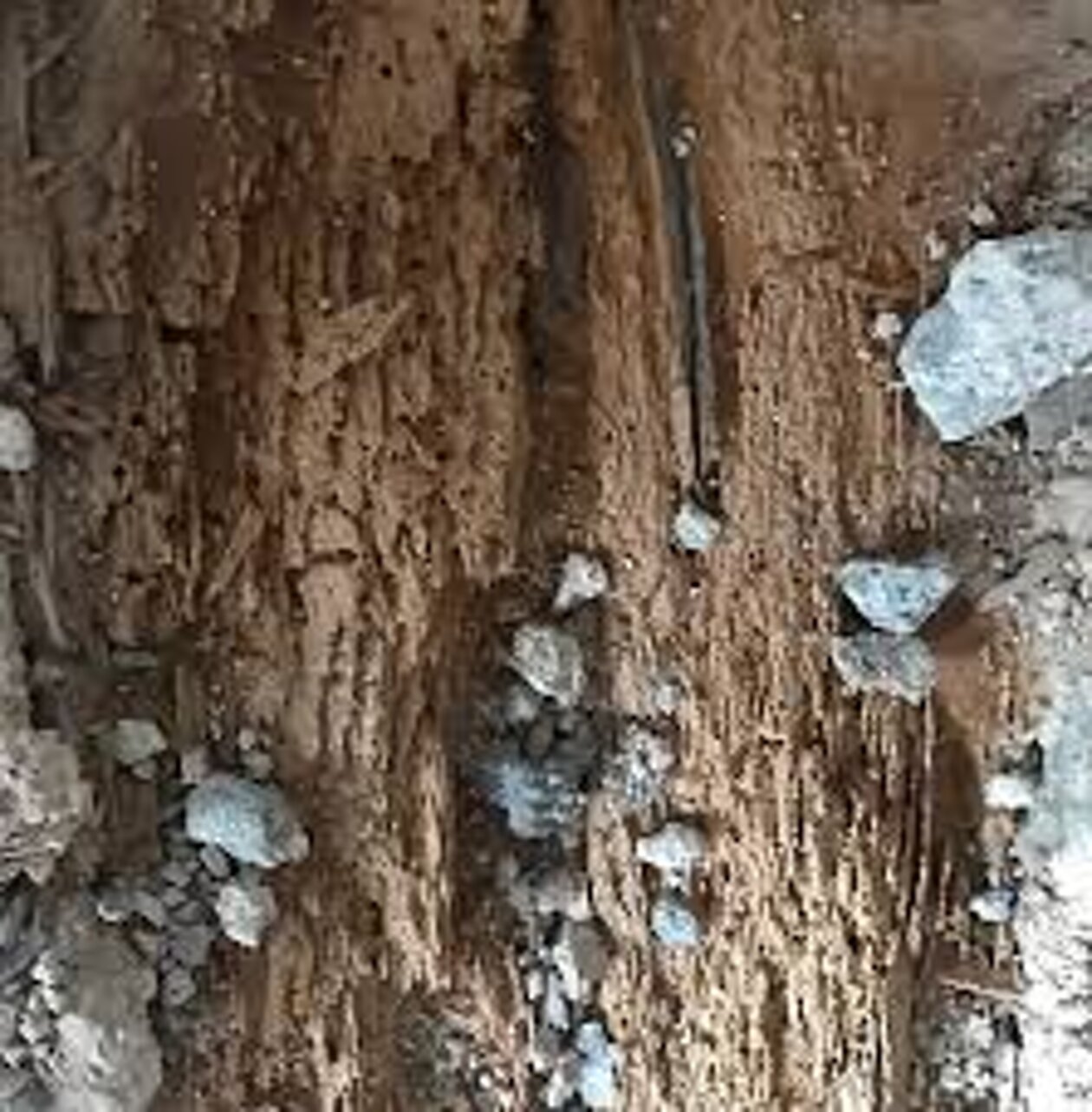 53f5d4569703c4783e6f3bac2e1d0bd7c38f074e.jpeg 53f5d4569703c4783e6f3bac2e1d0bd7c38f074e.jpeg