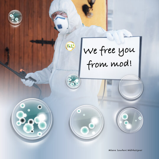 6c231d7b4cb446614eebaba15974ce8d994ba57e 6c231d7b4cb446614eebaba15974ce8d994ba57e