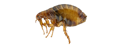 788632ba455326816ab1296108569a978dbfdbd3