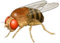 a55651495d9346f3608be2cf280d4d1086fc7b78