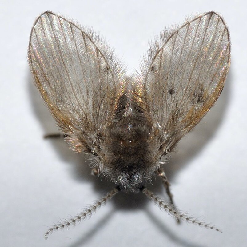 b0842bd672106e6114d675094771304498d9e55b b0842bd672106e6114d675094771304498d9e55b