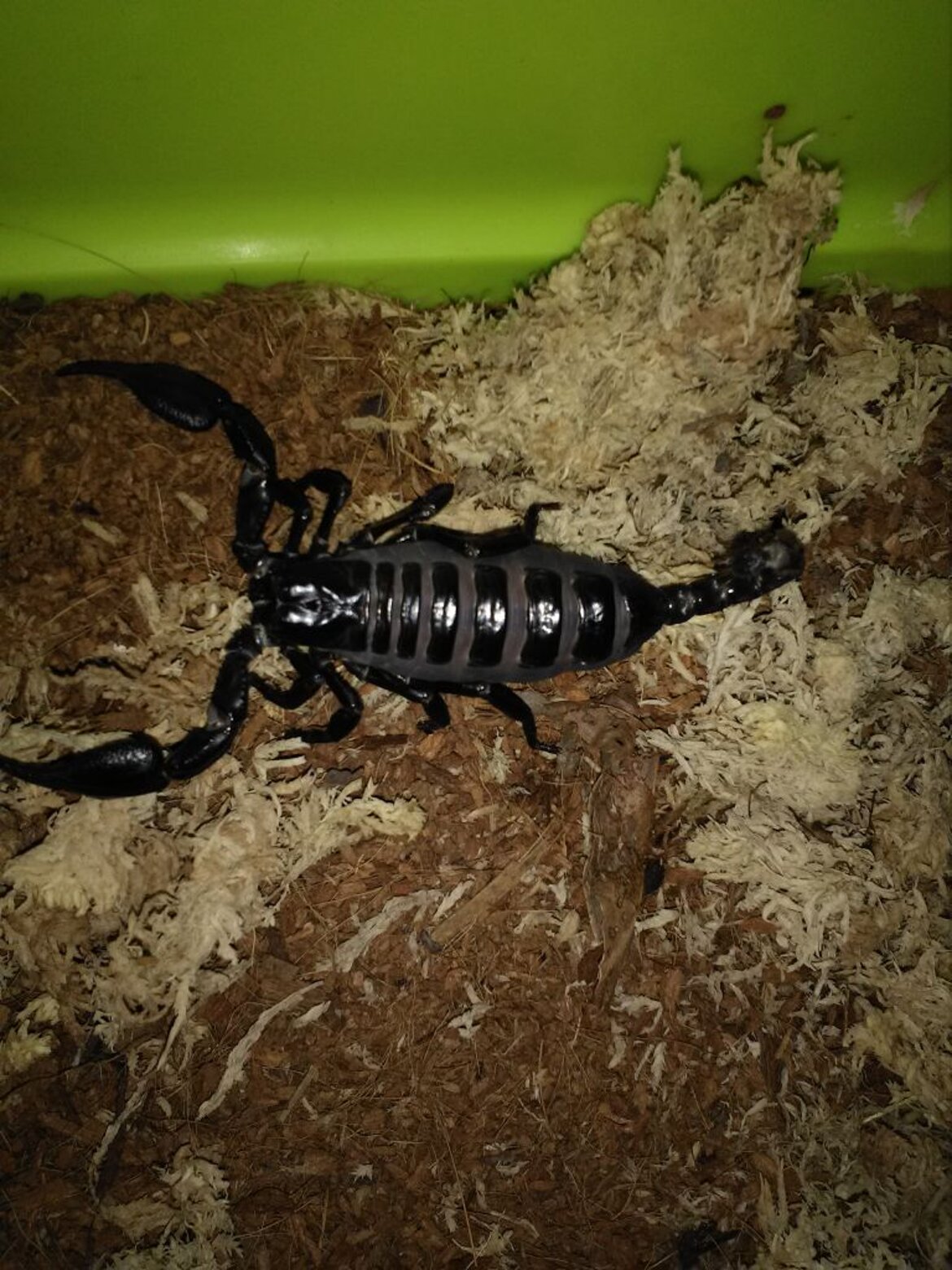 b98fe5020d04fd3d178e25486917640ede3337b5 b98fe5020d04fd3d178e25486917640ede3337b5