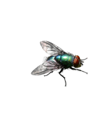 cb73d62a850f775bfaae986ea9f4a4eec4eafc4d cb73d62a850f775bfaae986ea9f4a4eec4eafc4d