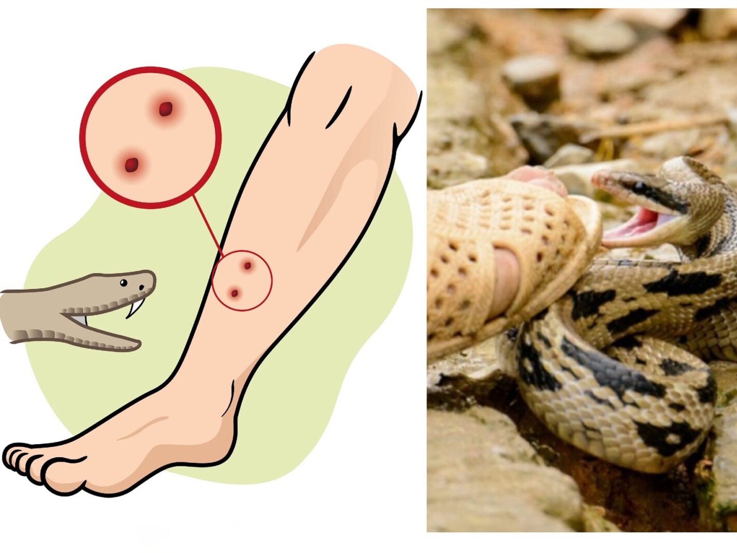 cc817b47e66ba39fbfa0798c65c3a090dac11df9 cc817b47e66ba39fbfa0798c65c3a090dac11df9