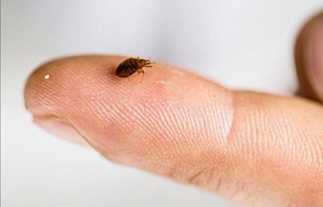 deeff6afe4282b5d8fd240b6c0fbcee7222d1d5a deeff6afe4282b5d8fd240b6c0fbcee7222d1d5a