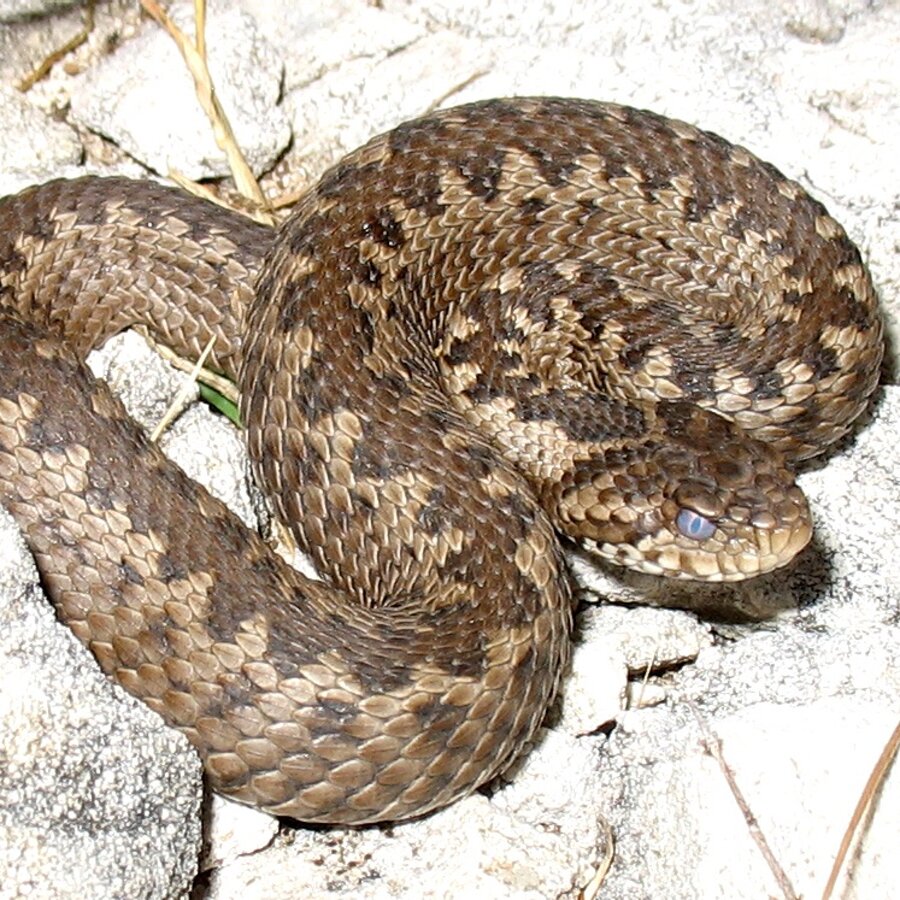 df36bbf77fd6daf95b7b5a3e847d844ee7efc165 df36bbf77fd6daf95b7b5a3e847d844ee7efc165