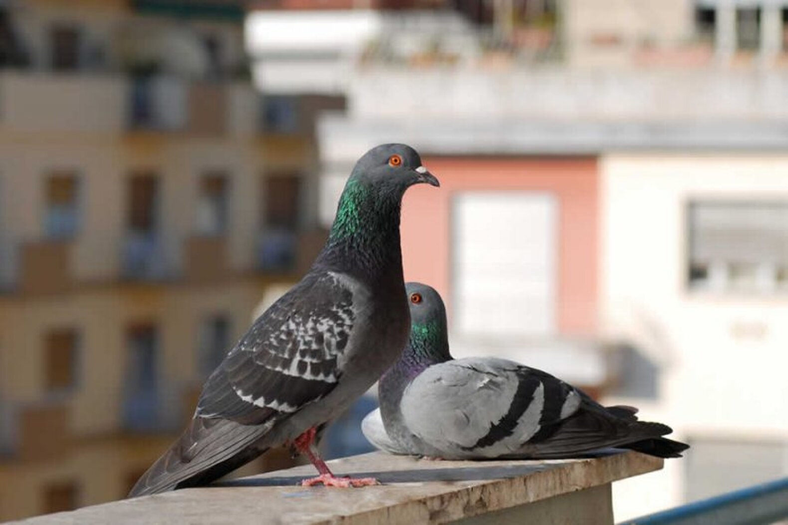 f100a22c2c3f9e3201a09b51db5d61ccfd5b43a0 f100a22c2c3f9e3201a09b51db5d61ccfd5b43a0