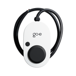 go-e-charger-gemini-22kw