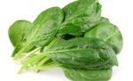 spinaci