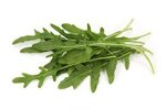 rucola