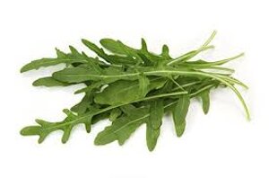 rucola