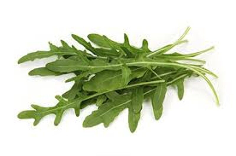 rucola