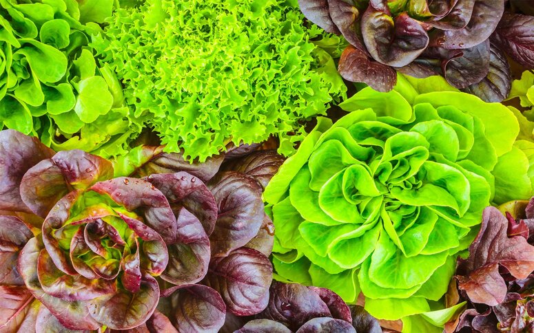 cef25e6e4edc3be38f1c736f6a354c2ee70cc0a3 cef25e6e4edc3be38f1c736f6a354c2ee70cc0a3