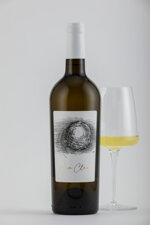 cumclave-annata-2020