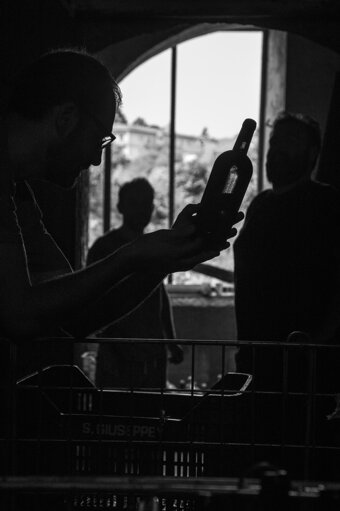 2d7782c507a924cd0a64ae3431df19e382e22d17