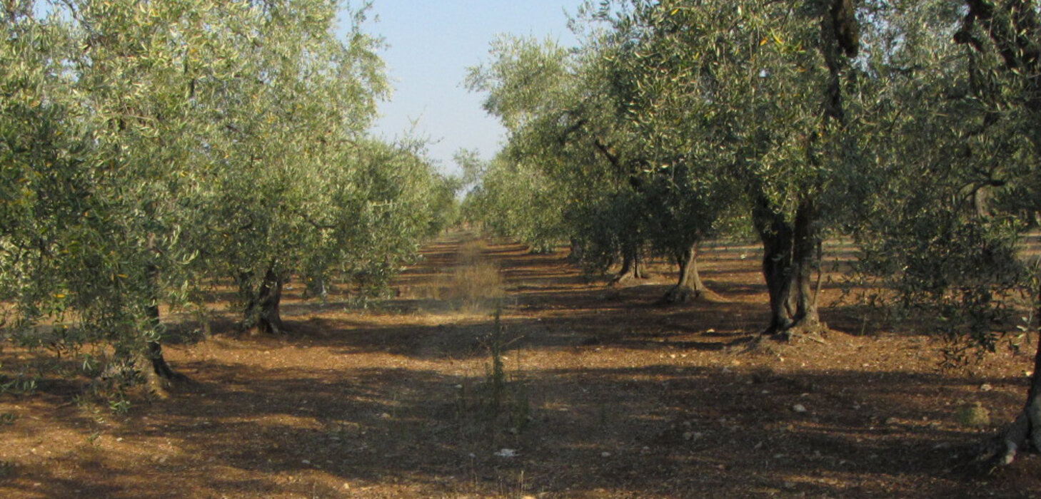 e6a648d22db6d495eb497a45820178e6fbbf20ee