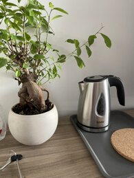 eaf260bac0dd175b6f51208e6f19b468944e14d5.jpeg eaf260bac0dd175b6f51208e6f19b468944e14d5.jpeg