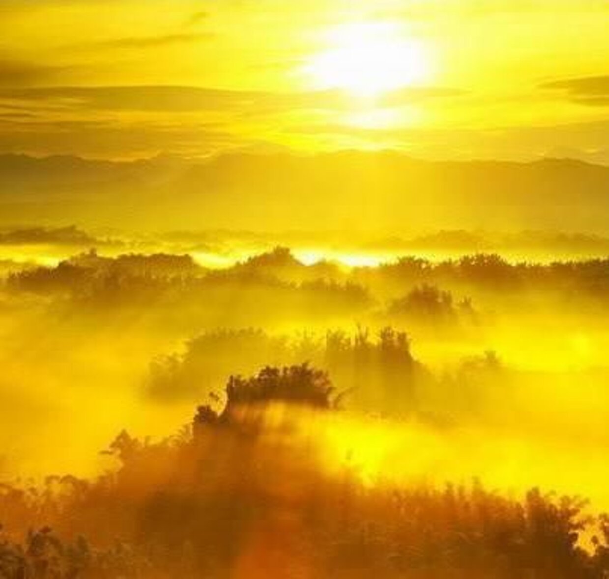 e256a662749ddb740cbe6660ff308d90607b630b e256a662749ddb740cbe6660ff308d90607b630b