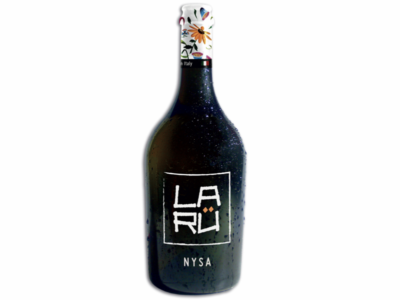 nysa-cl-50