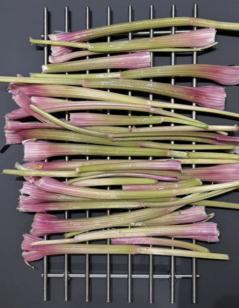 screenshot 2026-01-04 (10.17.09)