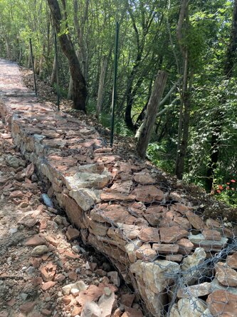 img_7368.jpeg img_7368.jpeg