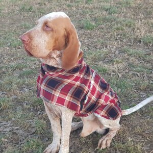 20241226_164948.jpeg 20241226_164948.jpeg