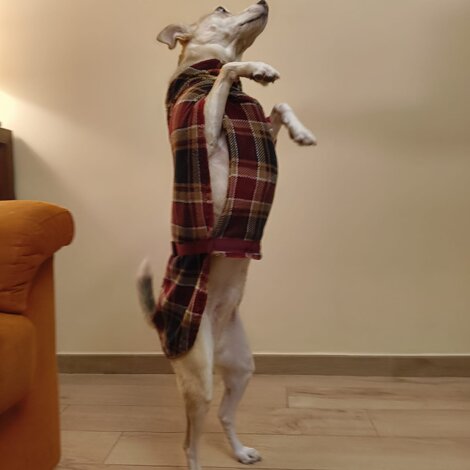 20251230_121241.jpeg 20251230_121241.jpeg