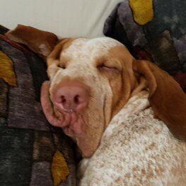 20250428_232458.jpeg 20250428_232458.jpeg