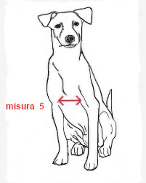 prendere le misure frontale 4.jpeg