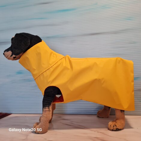 dsc_9876.jpeg dsc_9876.jpeg