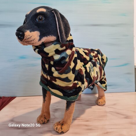 20251230_114402.jpeg 20251230_114402.jpeg