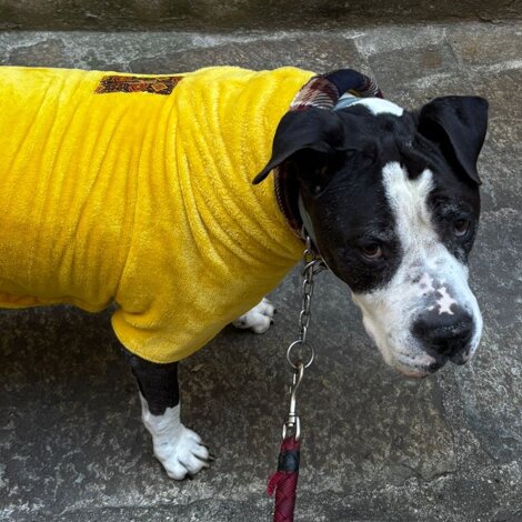 20251127_123324.jpeg 20251127_123324.jpeg