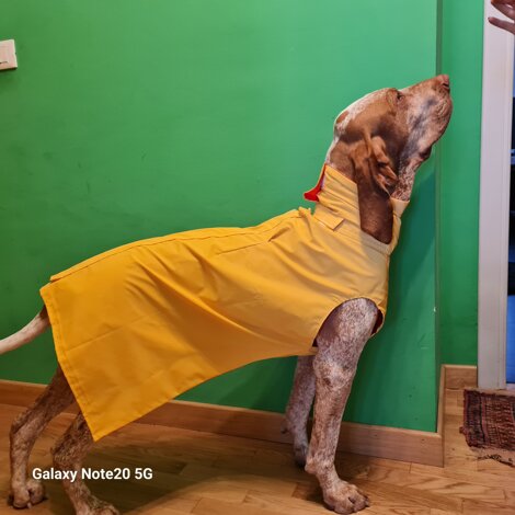 20251230_115751.jpeg 20251230_115751.jpeg