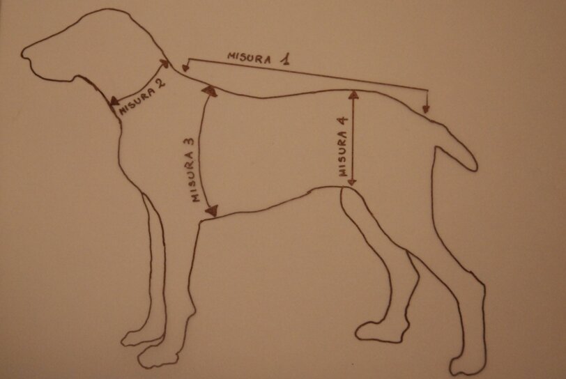 prendere le misure1.jpeg