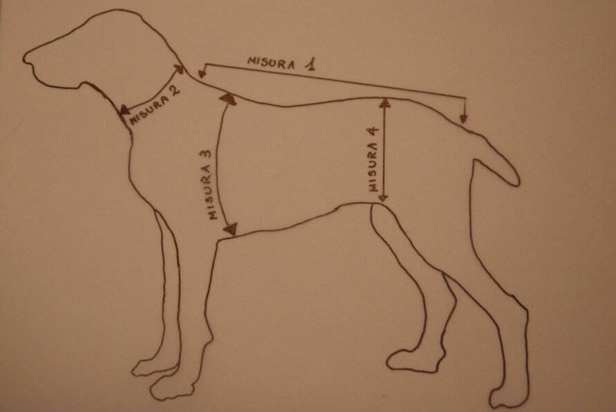 prendere le misure1.jpeg