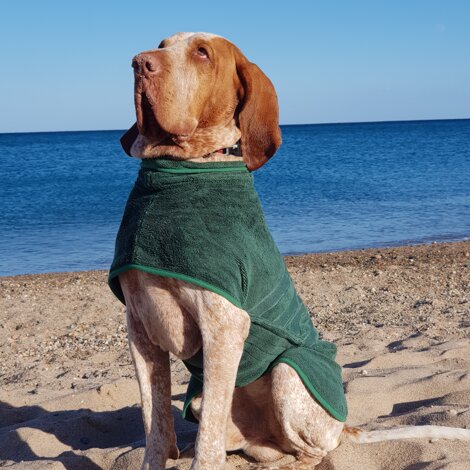 20250428_232458.jpeg 20250428_232458.jpeg