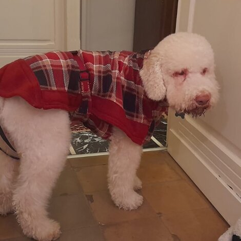 img-20251206-wa0015.jpeg img-20251206-wa0015.jpeg