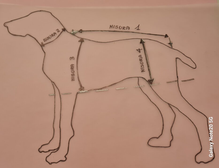 prendere le misure.jpeg