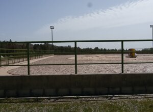 abrash-4.jpeg abrash-4.jpeg