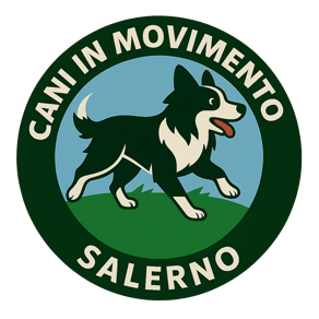 chatgpt image 31 ago 2025, 21_58_32