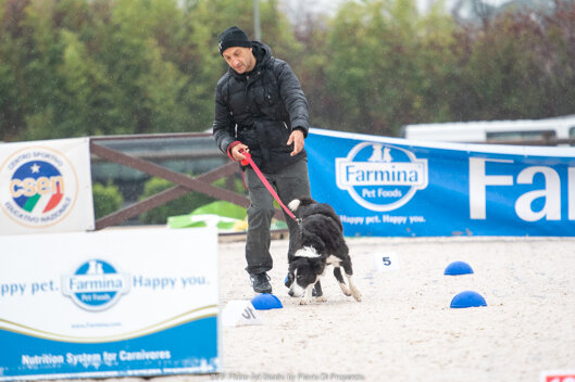 dsc_4762.jpeg dsc_4762.jpeg