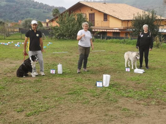 immagine whatsapp 2025-10-16 ore 09.43.28_7eaf1d09.jpeg immagine whatsapp 2025-10-16 ore 09.43.28_7eaf1d09.jpeg