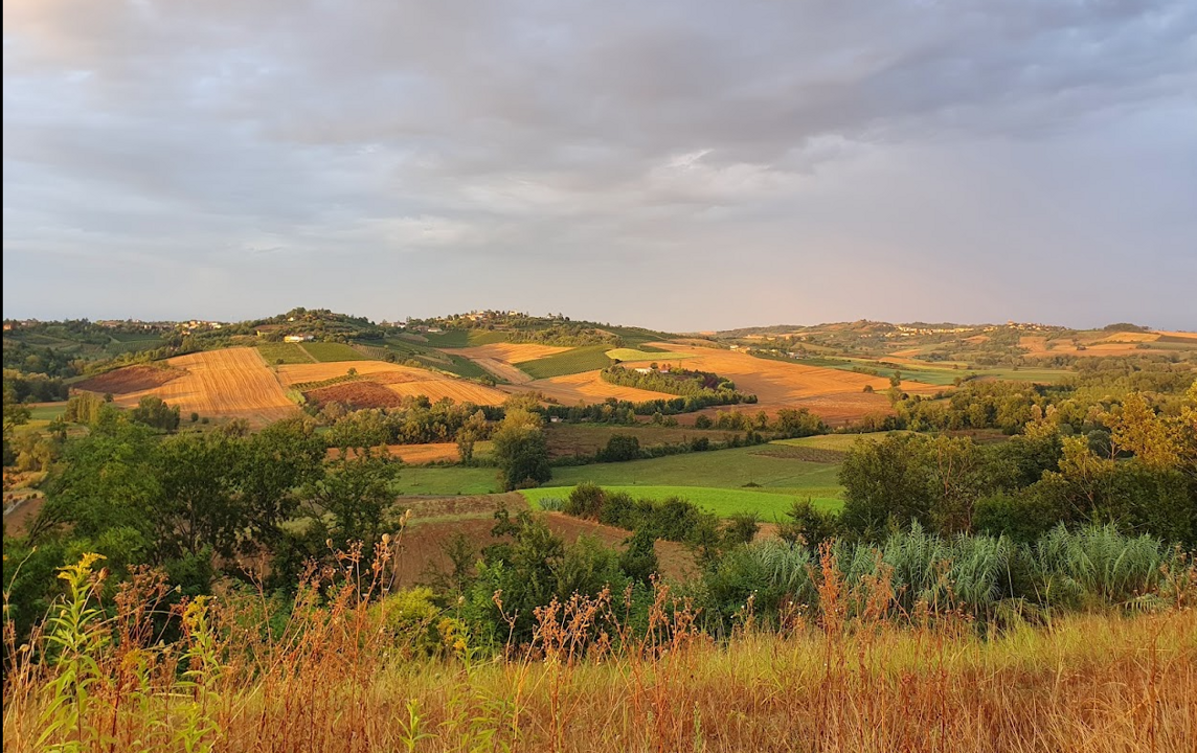 immagine2