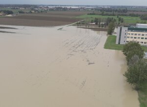 dji_20241013120633_0018_w.jpeg
