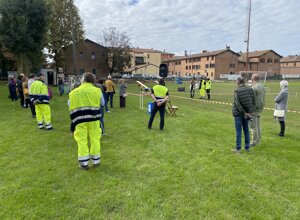 img_2302.jpeg